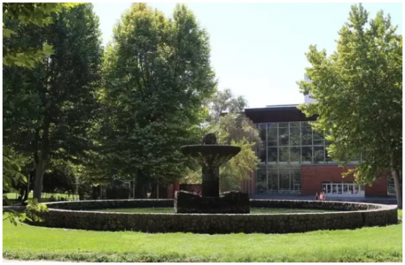 Անգլիական այգու տարածքից 17-ամյա տղա է ալկոհոլային թnւնավորմամբ տեղափոխվել է հիվանդանոց